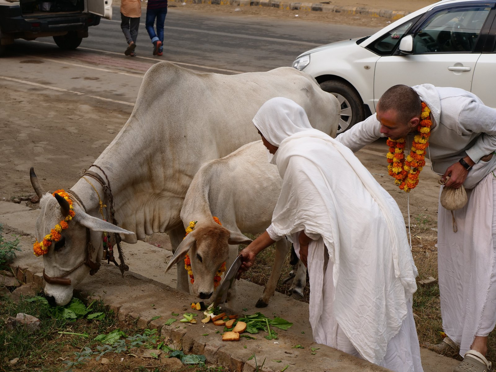  39 Gopashtami Radha kunda Govardhan 19.11.04